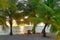 Palm trees Bodufinolhu island Fun Island Resort Maldives