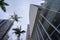 palm trees and buildings seen from below on Avenida Paulista, SÃ£o Paulo.