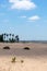 Palm trees on Cachucha beach in Puerto Real, CÃ¡diz. Andalusia, Spain.