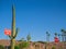 Palm trees and cactus in the blue summer sky. Wrong way and stop. Vacation time.