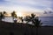 palm trees on a Caribbean beach on Hawaii with a colorful view of the calm sea at sundown