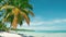 Palm trees on Caribbean island beach. Blue sky and sea and white sand