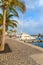 Palm trees in Caribbean style port