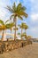 Palm trees in Caribbean style port