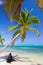 Palm trees on caribbean wild beach, Punta Cana