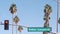 Palm trees in city near Los Angeles, street road sign, semaphore traffic lights.