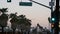 Palm trees in city near Los Angeles, street road sign, semaphore traffic lights.