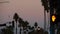 Palm trees in city near Los Angeles, street road sign, semaphore traffic lights.