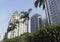 Palm Trees and Classic Building