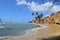 palm trees on a cliff at black sand beach, vieques puerto rico