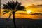 Palm trees on the cliff with the setting sun at Sai Thong National Park View Point, Chaiyaphum Province