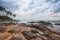 Palm trees on coastline of Galle, Sri Lanka