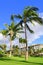 Palm trees and condos, Maui