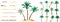 Palm trees, constructor kit. Beautiful palm trees, sand, stone. Collection of element for create beautiful exotic island, beach