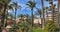 Palm trees on the Croisette in Cannes city. Cannes is a beautiful city on the Cote d`Azur.