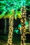 Palm trees decorated with christmas lights in gardens