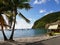 Palm trees on Deshaies beach in North Basse-Terre in Guadeloupe