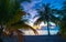 Palm trees at evening beach Bodufinolhu island Maldives