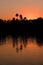 Palm Trees at Evening in Tropical Location Sunset Light Relfection in Water