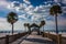 Palm trees and the fishing pier in Clearwater Beach, Florida.