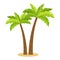 Palm trees, flat vector icon