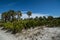 Palm trees and florida vegetation on a secluded beach