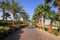 Palm trees and footway, Sharm el Sheikh, Egypt