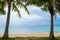 Palm trees frame with sand beach