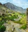 Palm trees in front of arid rocky terrain. Huge barren mountain in background. Santo Antao Island, Cape Verde