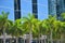 Palm trees in front of modern skyscraper in Miami