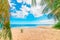 Palm trees and golden sand in La Perle beach in Guadeloupe