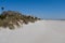 Palm Trees, Grass and Condominiums on Sandy Beach