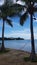 Palm trees, hammock, and boat in water and beach in Guanica, Puerto Rico