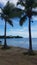 Palm trees, hammock, and boat in water and beach in Guanica, Puerto Rico