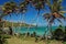 Palm trees on Industry Bay beach on Bequia