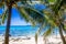 Palm trees in Johnny Cay, Island of San Andres, Colombia in a beautiful beach background