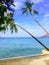 Palm trees on Klong Prao beach in Thailand