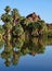 Palm Trees by Lake