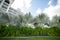 Palm trees, lawn, sky with clouds. Palm leaves. Beach resort.