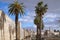 Palm trees lining the route to Jaffa Gate