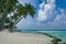 Palm trees on Maafushi Island Maldives