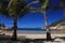 Palm trees on Magnetic Island, Queensland