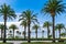 Palm trees in the main promenade of Salou