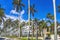 Palm Trees Main Street Buildings Palm Beach Florida