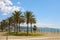 Palm trees on the Malagueta beach, Malaga, Spain