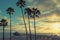 Palm trees on Manhattan Beach, Vintage processed