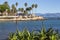 Palm trees in the medieval town of Antibes