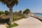 Palm trees Mil Palmeras Costa Blanca Spain on promenade paseo leading to the beach