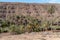 Palm trees in mountain landscape, Fuerteventura, Canary