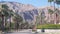 Palm trees and mountains, Palm Springs, California desert valley oasis flora USA